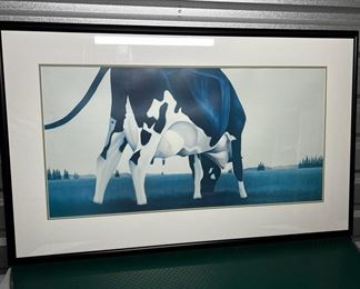 Oh Look Another Big Cow From The Udder Side