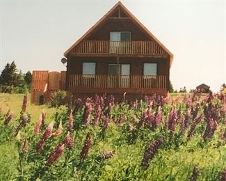 P.E.I. AFrame Amongst Lupins