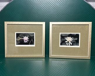 Tony Diodati Pink And Yellow Waterlily Prints