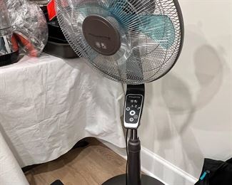 Fan
