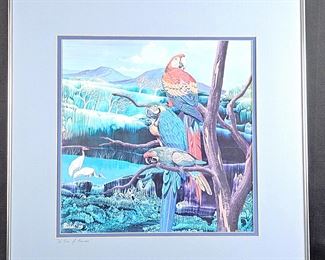 Signed and Numbered Limited Edition Lithograph by "Paisal" 1978 "A Trio Of Macaws' 