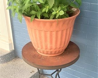 Small round table; live plant