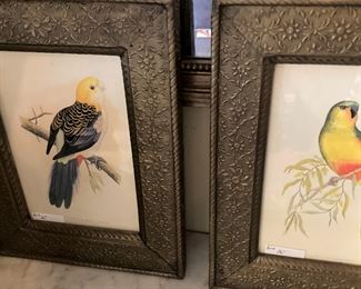 Framed bird prints