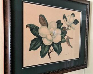 Framed magnolia by Artist  S. W.  Saucier