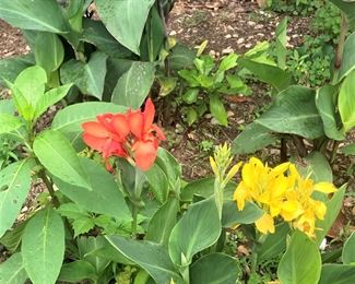 Be sure to visit the garden for yard art, planters, patio, furniture, and more!