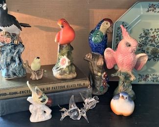 Part of the bird collection