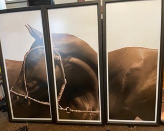 37	$500 	
Triptych print of Horse in high quality framing