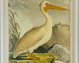 38	$450 	
Pelican George Dubois 1768 31x39	