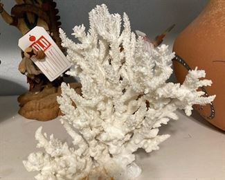 Acropora Coral $150