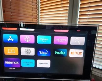 Sony BRAVIA = "Best Resolution Audio Visual Integrated Architecture"