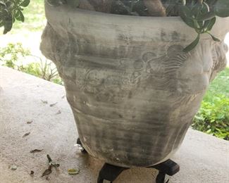 Cement planter - with Jade plant on rolling stand. Extremely large & heavy