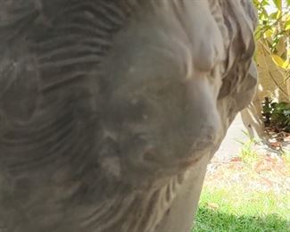 Jade tree in jumbo size planter Close up of the Lion head design