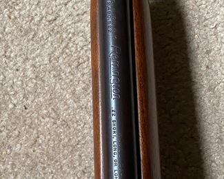 Remington 22 Ga 