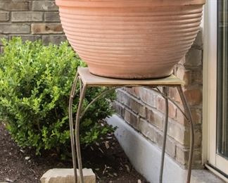 Plant:  $26.00.  Plant stand:  $58.00