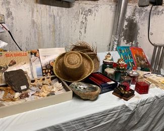 SEA SHELLS. MAKE CANDLES!!