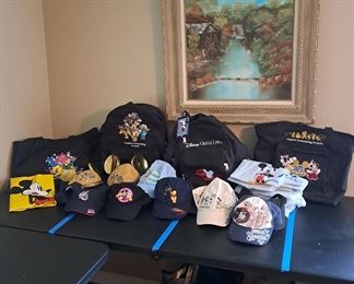 b) Disney Accessories go with the total Disney Pin Collection of 1508 pins. 