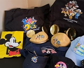 a) Disney Accessories go with the total Disney Pin Collection of 1508 pins. 