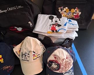 c) Disney Accessories go with the total Disney Pin Collection of 1508 pins. 