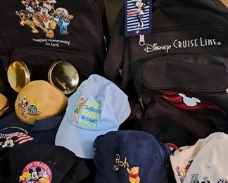 d) Disney Accessories go with the total Disney Pin Collection of 1508 pins. 
