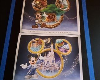 m) Disney Accessories go with the total Disney Pin Collection of 1508 pins.