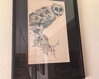 Pen and ink owl 