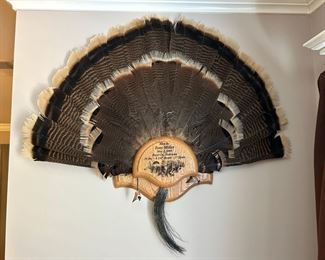 Wild Turkey Fan and Beard Mounts