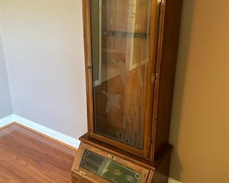 Gun cabinet/display case