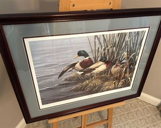 Framed print "Quiet Run" by Paco Young