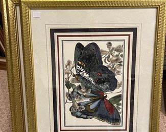 $25.00 Each From Brody’s