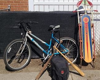 Mountain bike, Comet sled, sports equipment