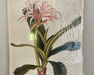 Prints.. 1992 recreated 