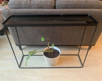 Glass and metal sofa table