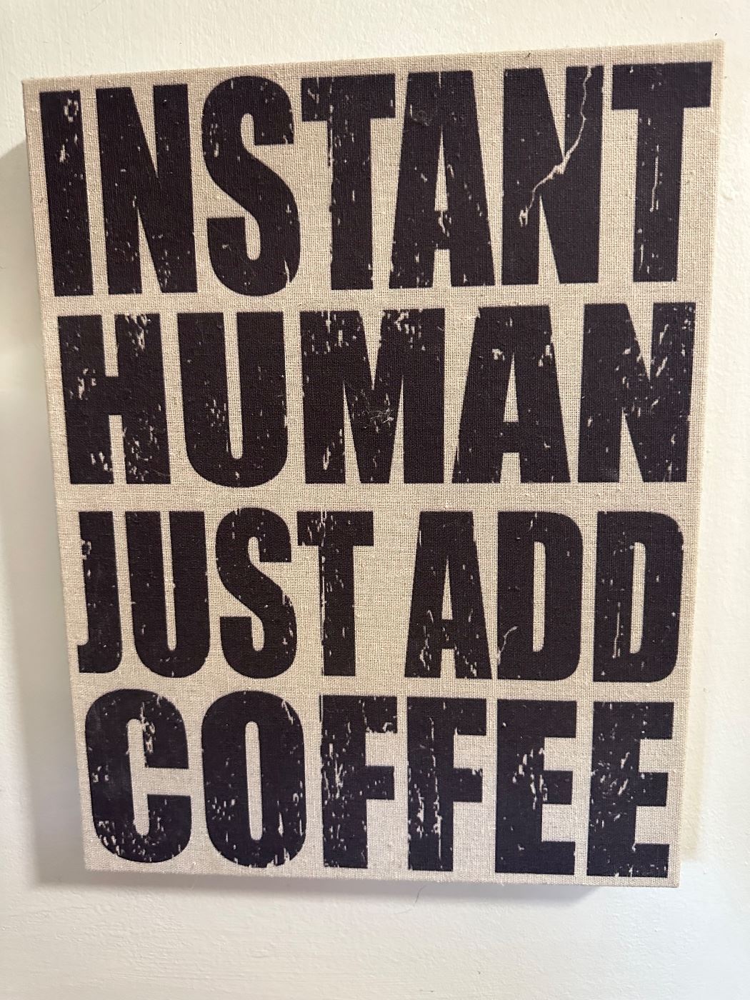 Instant Human Just add Coffee and bring an extra for me