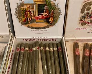 Antonio & Cleopatra Vintage Cigars