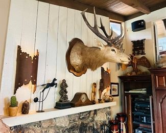 Ranch style decor and lighting 