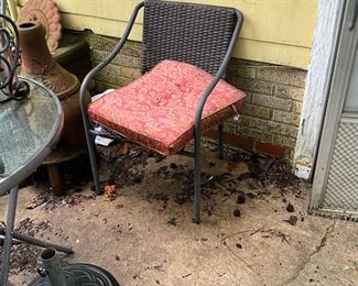 Outdoor items - most behind the house