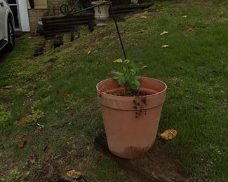 Outside in front of house