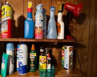 Downstairs - Miscellaneous cleaning supplies