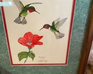 Hummingbird picture