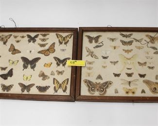 58: x2 Framed Butterflies