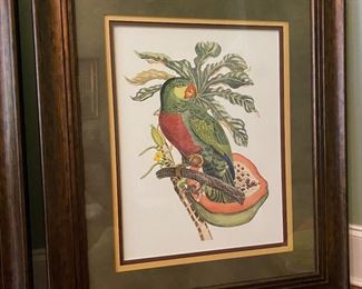 W4 $150. PAIR of Tropical birds and botanicals print. Measures 30.5” x 36”. Beautifully framed. 