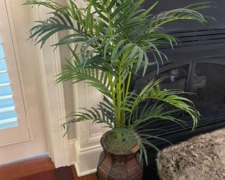 $20 Decorative Tree