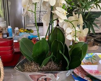 Decorative planter $7