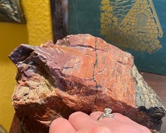 Large Piece of Petrified Wood