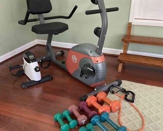 Exercise Bike, Weights, And Under Desk Pedal