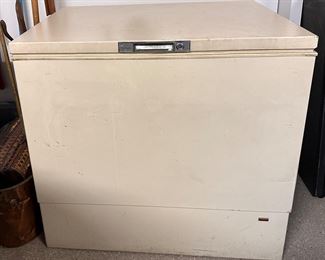 Chest freezer