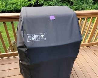 Weber Grill
