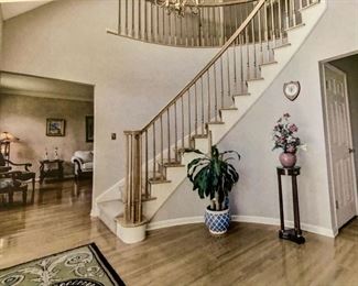 Large & small Planters and Plants available 