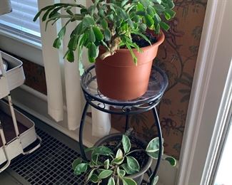 Plant stand