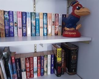 Living room/checkout room books